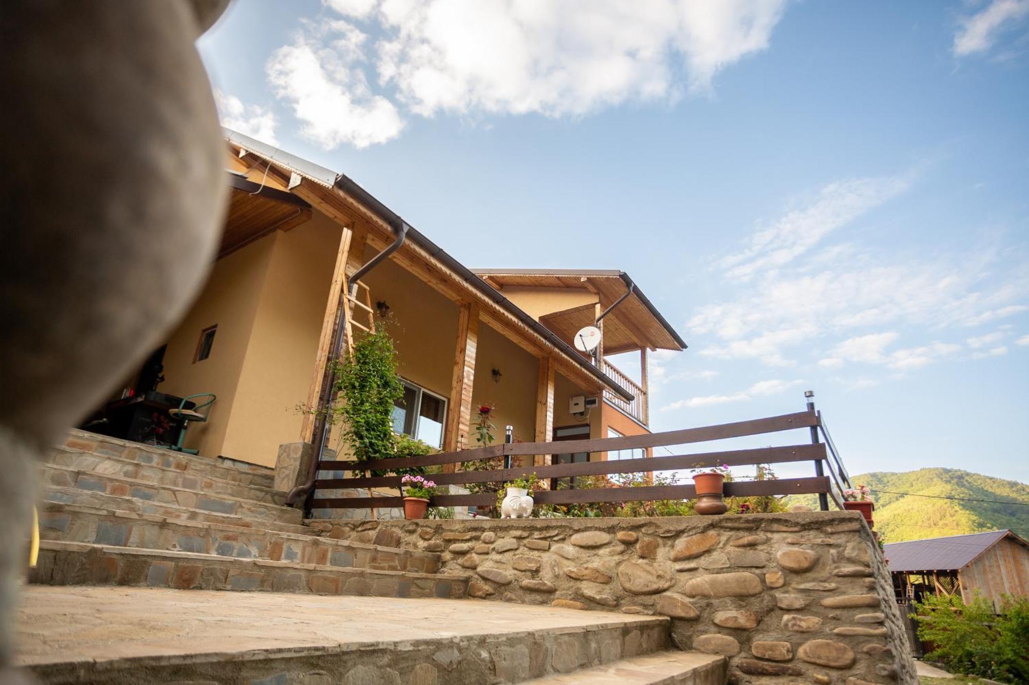 Casa Rumelia Paltineni Esterno foto