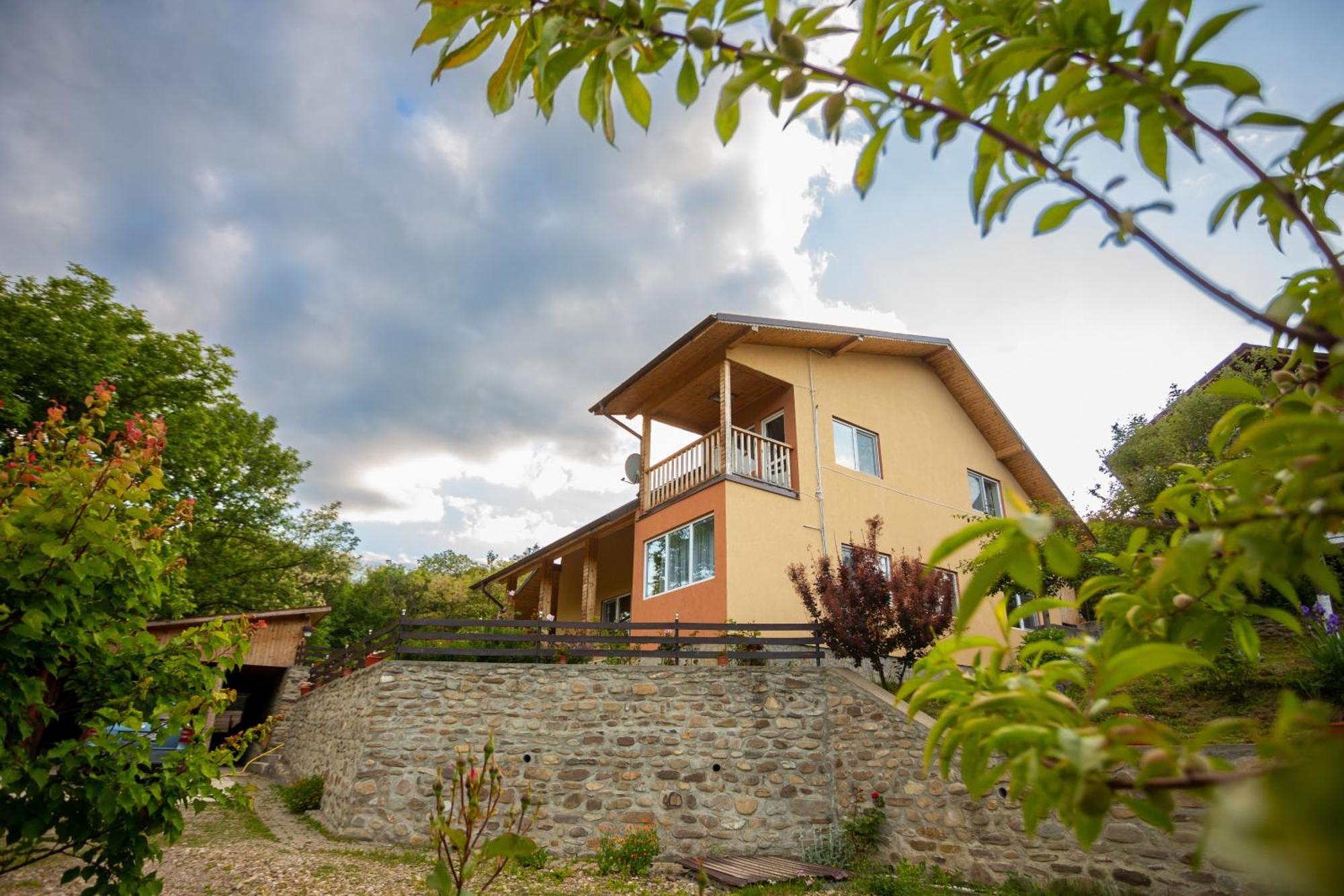 Casa Rumelia Paltineni Esterno foto