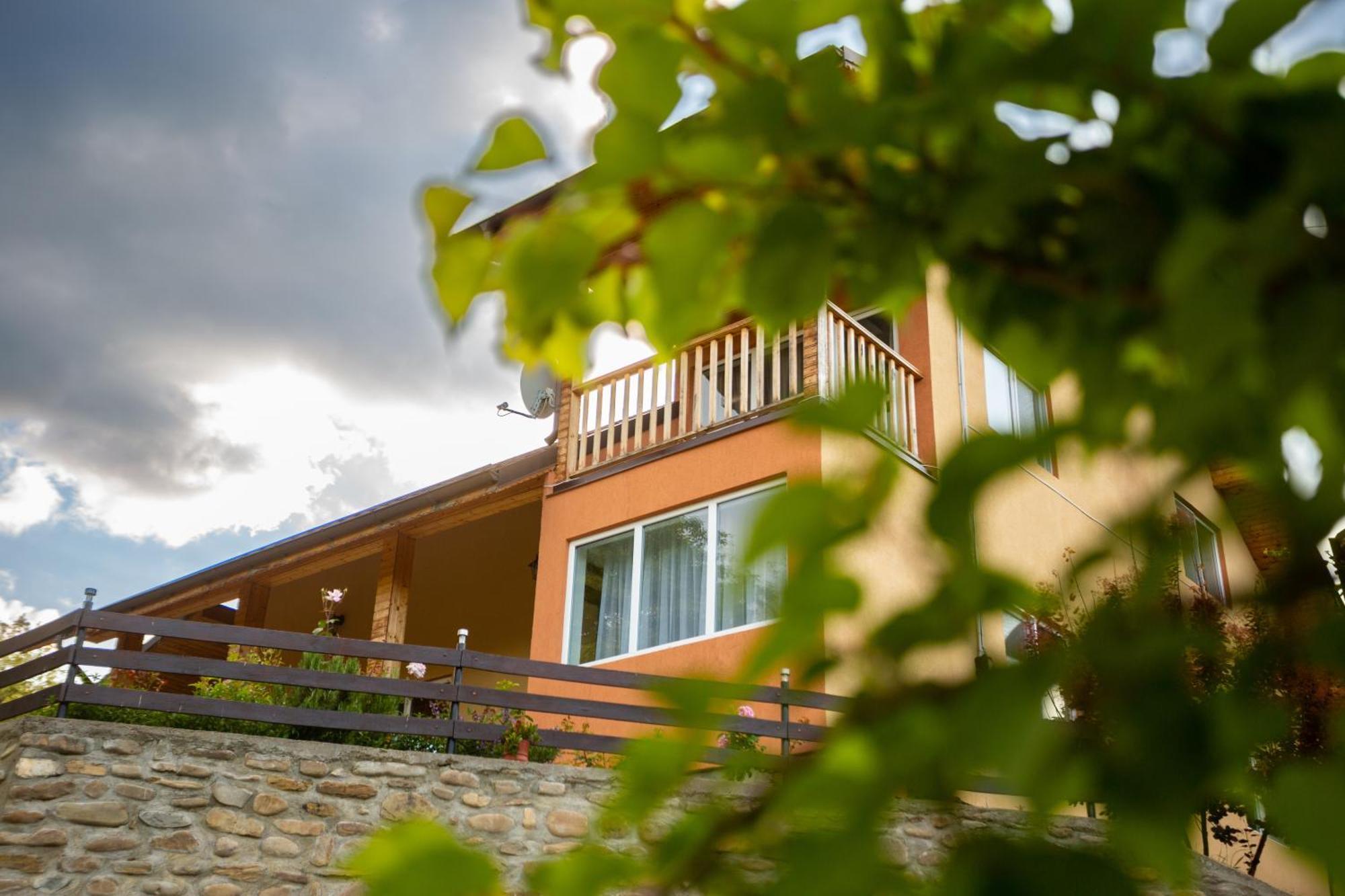 Casa Rumelia Paltineni Esterno foto