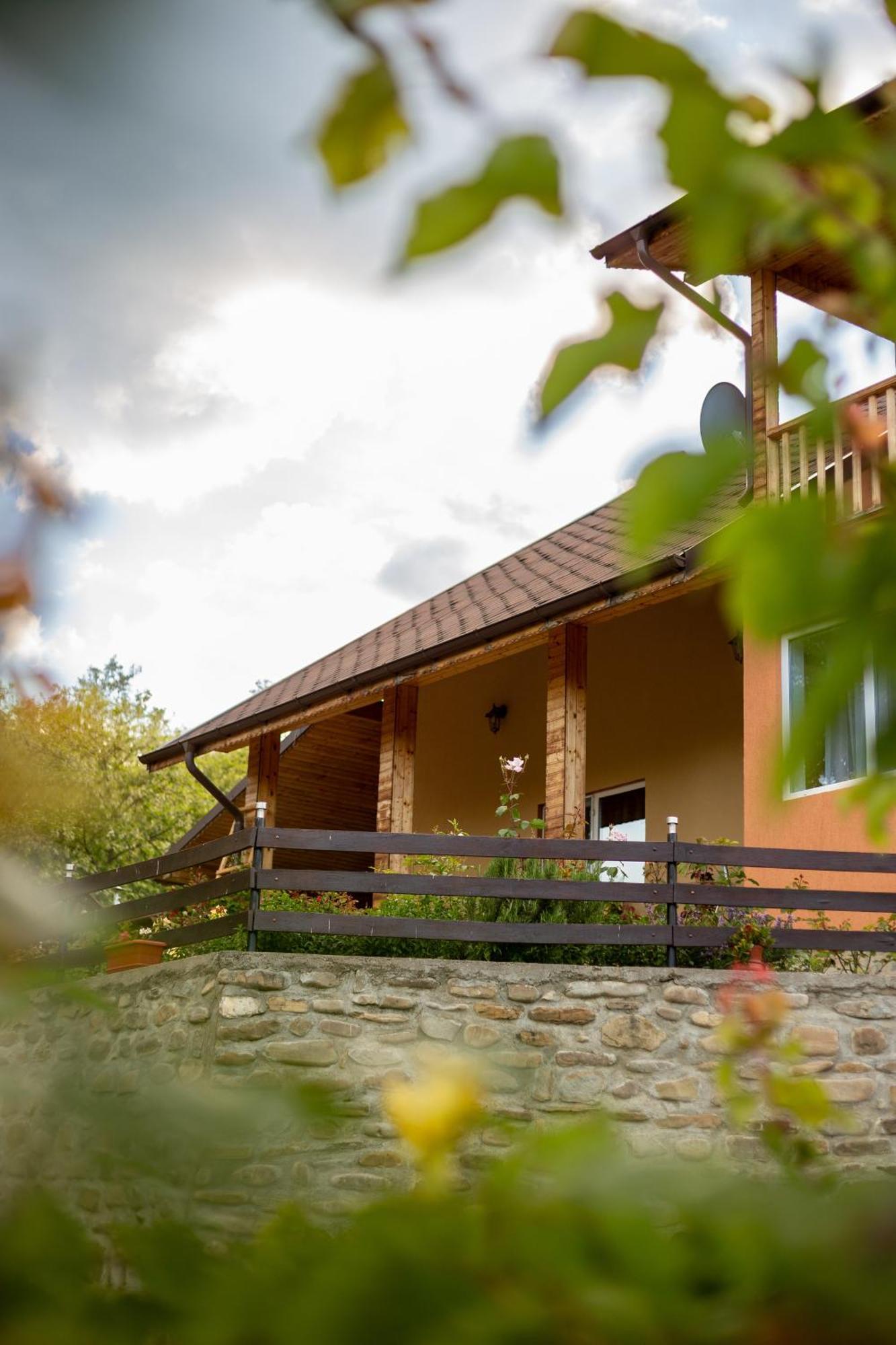Casa Rumelia Paltineni Esterno foto