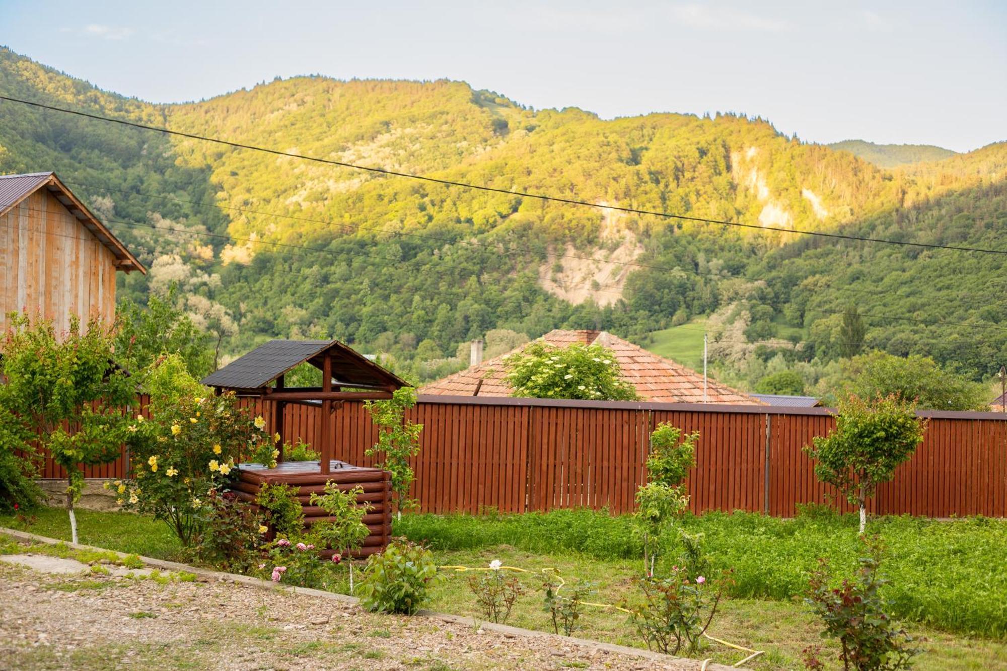 Casa Rumelia Paltineni Esterno foto